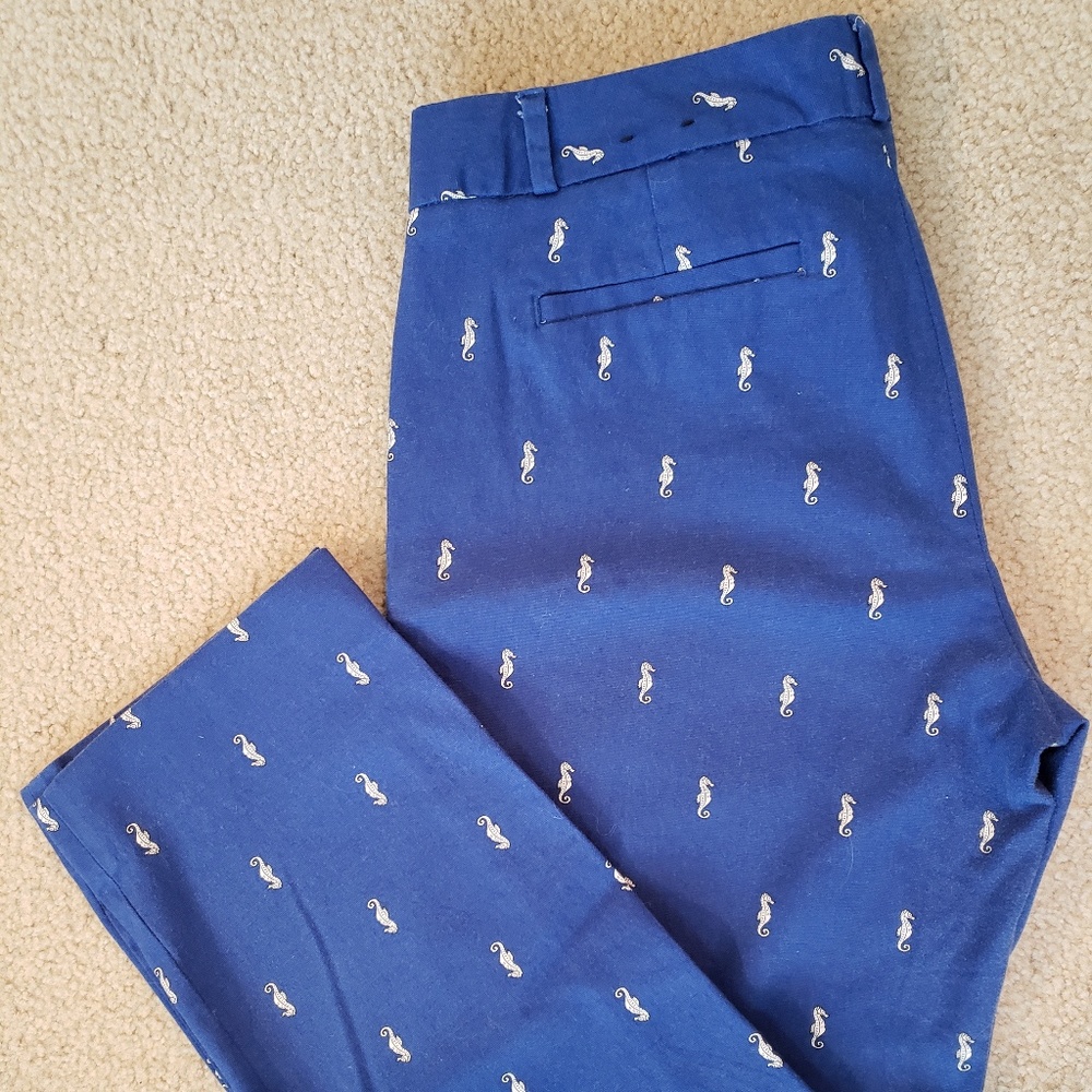 Banana Republic Hampton work pants